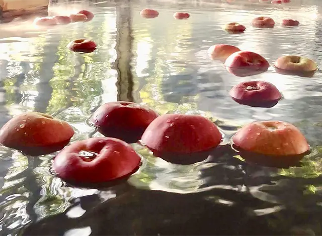 りんごが浮かんだ温泉