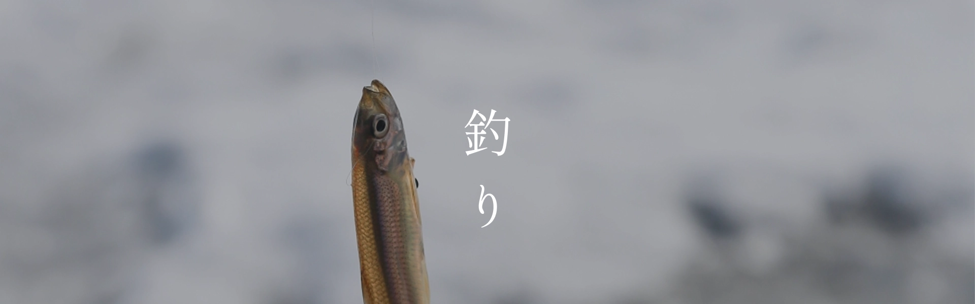 釣り