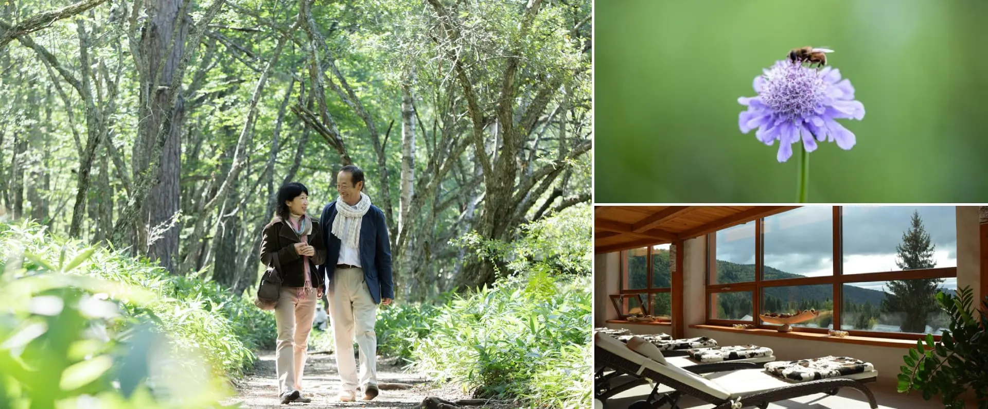 アクティビティ画像